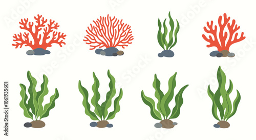 Collection of various colorful sea plants including different shapes of coral and green seaweed on white background area.