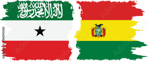 Bolivia and Somaliland grunge flags connection, vector