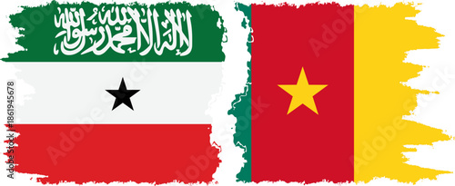 Cameroon and Somaliland grunge flags connection, vector