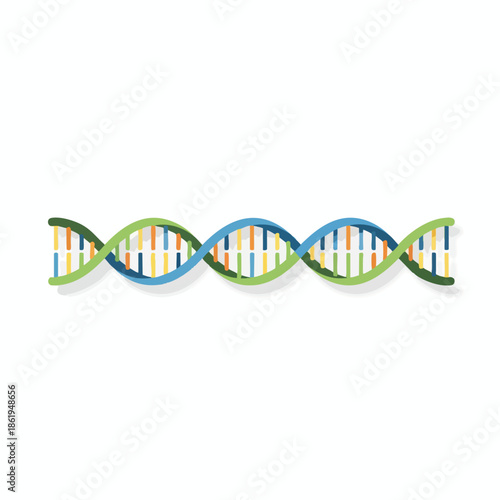 A colorful, simplified illustration of a DNA double helix on a white background