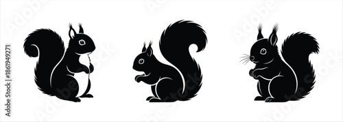 Elegant Collection of Black Squirrel Silhouettes Modern Vector Icons for Graphic Design Projects