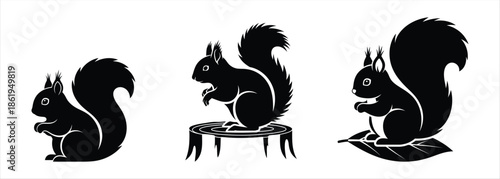 Black Silhouettes of Squirrels in Different Poses and on Objects