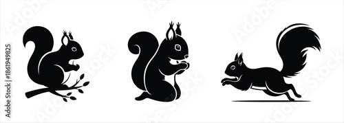 Black silhouette of squirrels in different poses on a white background