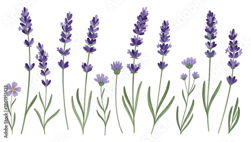 Modern vector watercolor-style floral and nature wallpaper featuring lavender sprigs and wildflowers, calming botanical background ideal for interiors, textiles, and wellness branding