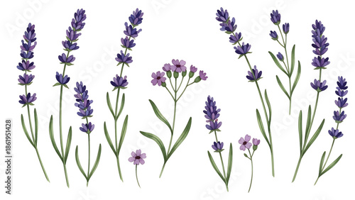 Modern vector watercolor-style floral and nature wallpaper featuring lavender sprigs and wildflowers, calming botanical background ideal for interiors, textiles, and wellness branding