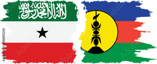 New Caledonia and Somaliland grunge flags connection, vector