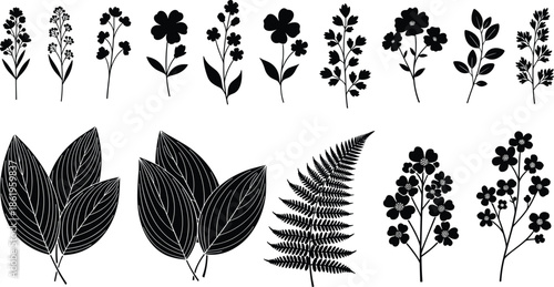 Set of black botanical silhouettes featuring fern frond and broad leaves, wild flower stems collection, nature design, cad drawing flat vector illustration
