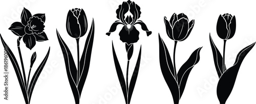 Set of black spring flower silhouettes featuring daffodil tulip and iris, botanical nature garden collection, cad drawing flat vector illustration