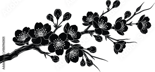Black silhouette of blooming cherry blossom branch, sakura flower tree limb, spring nature design element, cad drawing flat vector illustration