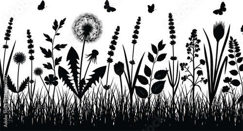 Black silhouette of wildflower meadow with dandelions and butterflies, tall grass field nature border, cad drawing flat vector illustration