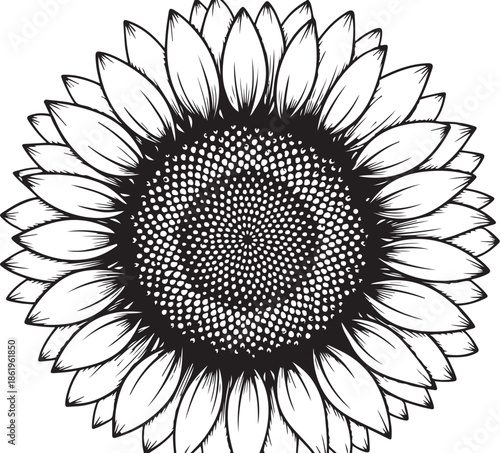 Sunflower Vector Icon Vector