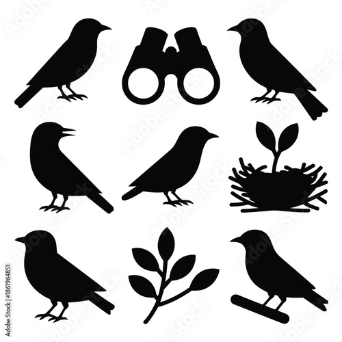 Bird silhouettes and binoculars represent nature observation and wildlife.