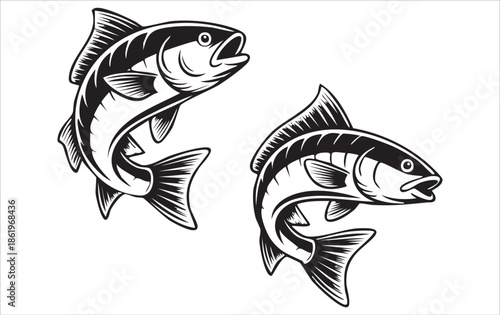 Fish vector icons. Vector fish. Fish illustration. Black and white vector illustrations of jumping fish