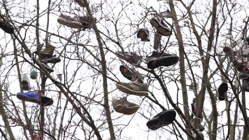 . Abandoned shoes hanging from a tree on a Berlin street. Urban city scene in Germany.