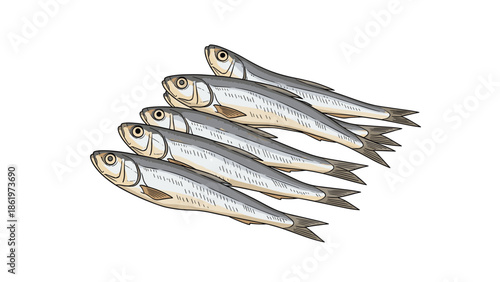 Set of six small dried silver fish also known as niboshi used as a common ingredient in Japanese cooking and soup stocks.