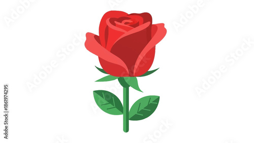 Red rose with green leaves on white background illustration
