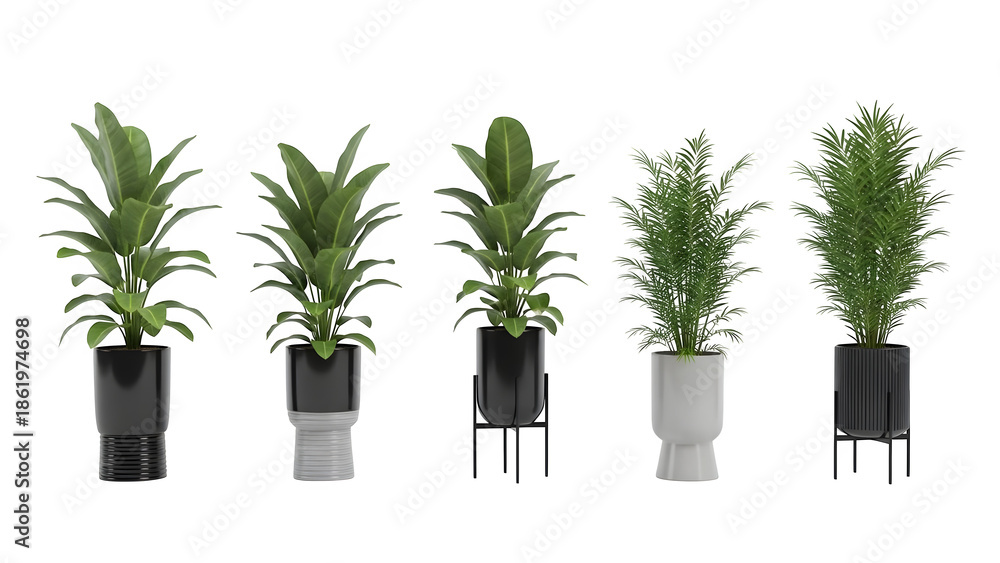 Obraz premium Four green plants in white and black pots isolated on transparent background