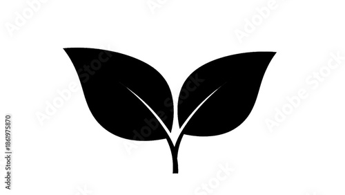 Vector illustration of two simple fresh green leaves, growth symbol on transparent background