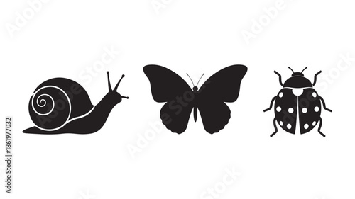 Snail, butterfly, and ladybug silhouettes in minimalist style with dark monochrome color on white background for insect icon set