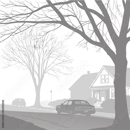 Thick winter fog covering a residential street and houses with cars