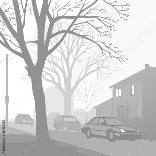 Thick winter fog covering a residential street with cars and trees