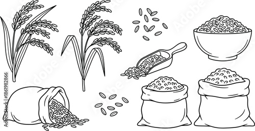 Rice plants and grains in sacks and bowl