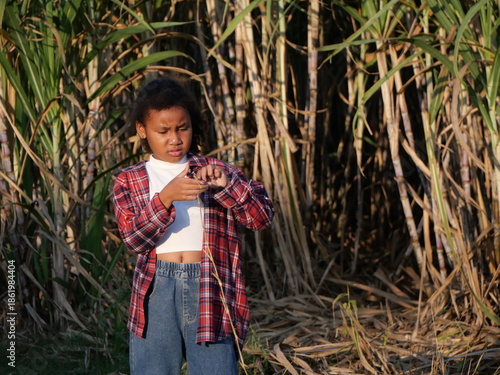 Child Learning About Nature with parent in outdoor vegetable garden
