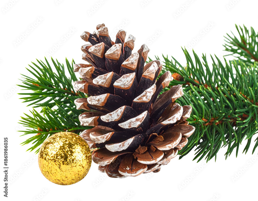 Fototapeta premium Pine cone, evergreen branch, and golden bauble on black