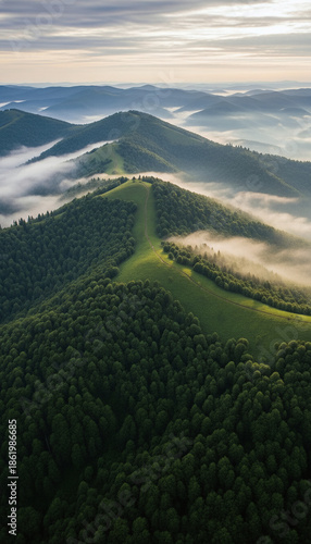 Mountain landscape with fog with trees and sky.