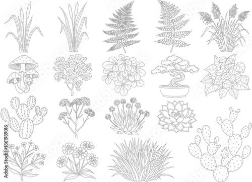 Collection of various plant and mushroom illustrations