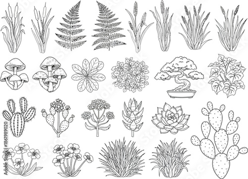 Collection of hand-drawn botanical illustrations featuring plants, flowers, and mushrooms