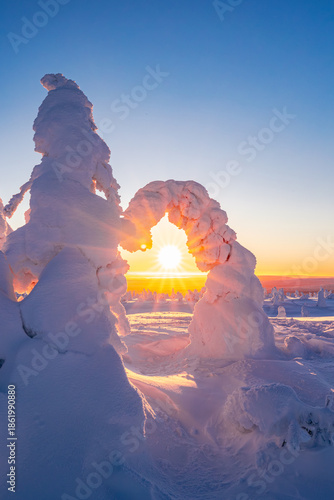 winter landscape at sunset