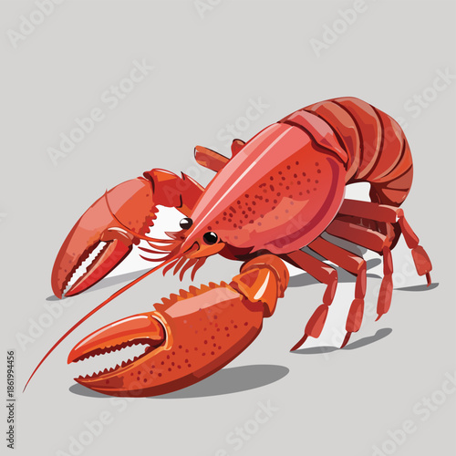 A gourmet prepared red cooked lobster featuring a fresh shell and claws isolated on a white background for a seafood dinner meal