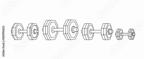Row of dumbbells in various sizes for strength training
