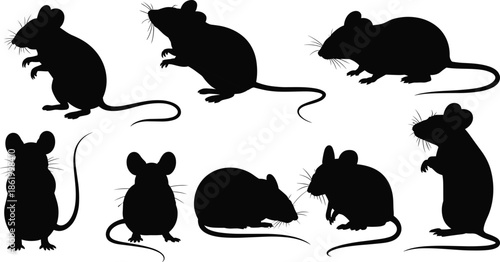 Rat and mouse silhouettes collection showing different poses, black rodent animal figures set isolated on white background for pest control and wildlife design