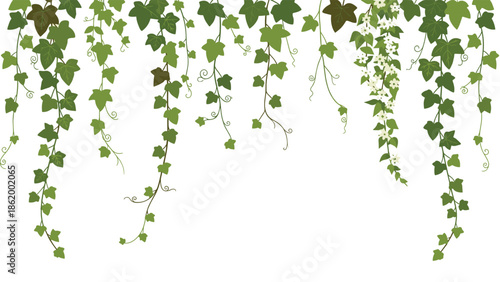 Beautiful seamless border of hanging green ivy vines adorned with delicate small white flowers, perfect for naturalistic designs and botanical-themed decorations.