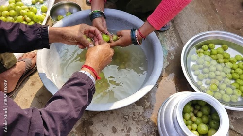 Man and Woman Washing Amla for Homemade Pickle Preparation in Traditional Indian style.

