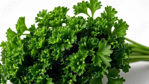 Close-up of a vibrant green bunch of fresh aromatic parsley, ready for culinary use.