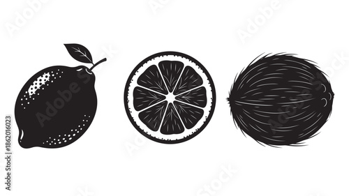 Citrus Fruits Silhouette Set in Simple Monochrome Style with High Contrast Lighting on White Background for Healthy Eating Illustration