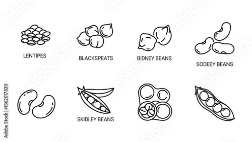 Assorted Beans and Legumes Illustration Set on White Background