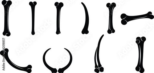 Set of human bone silhouettes and anatomical bone shapes, femur and skeletal bone icons in medical anatomy vector illustration