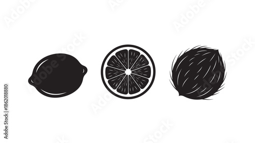 Citrus Fruits Silhouette in Simple Monochrome Style with White Highlighting on Clean White Background for Illustration