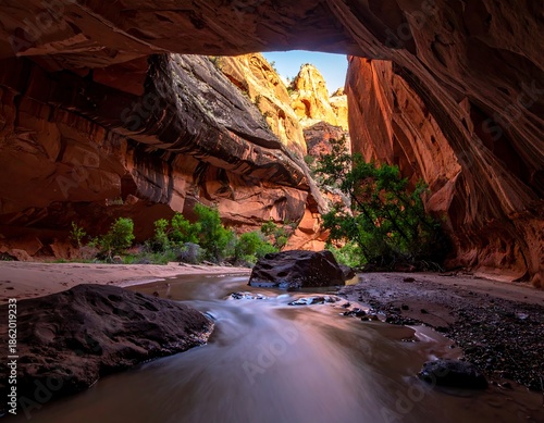 Serene Canyon Oasis with Flowing Stream.