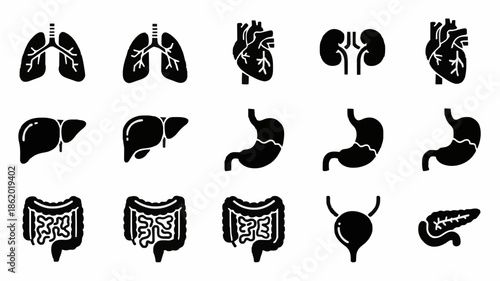 A collection of black silhouette icons depicting various human digestive system organs on a white background.