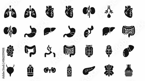 Collection of black and white medical icons depicting various human organs on a white background.