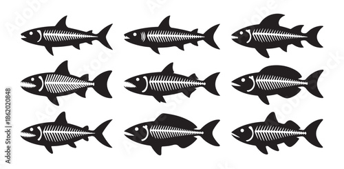 Shark skeleton collection with various fish bone silhouettes vector set of predator fossils on white background art