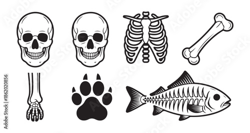 Human skull and animal paw print icon set with rib cage and fish bone illustration for medical or halloween design