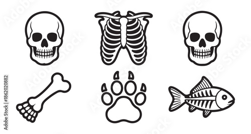 Anatomy icons featuring human skull and rib cage with animal bone and paw print plus fish skeleton silhouette set