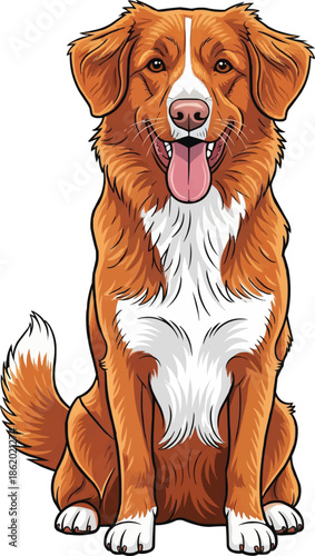Nova Scotia Duck Tolling Retriever dog sitting happy panting smiling pose