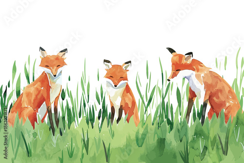 Set of Foxes in a Watercolor Meadow isolated illustration